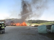 (c) FF Gfhl / Karl Braun, Gottfried Gierigl