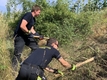 Feuerwehr Krems / Gernot Rohrhofer