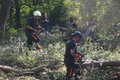 Holzarbeiten bei der Feuerwehr