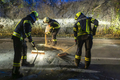 (c) Manfred Wimmer